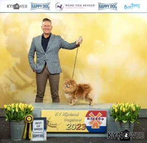 Sadie - kleinkees - best of breed 2023