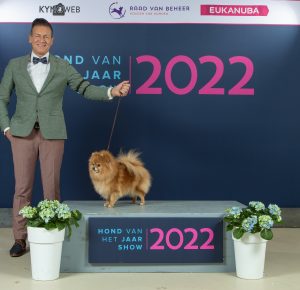 Sadie - kleinkees - Hond van het jaar 2022
