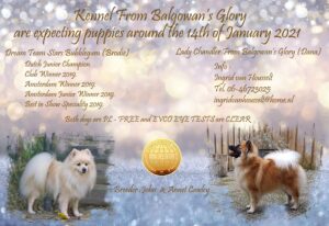 Kennel From Balgowan's Glory