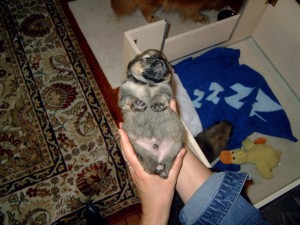DSC00001
