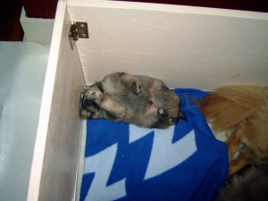 DSC00024 