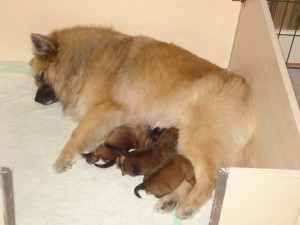 Foto's 6 januari 2008 003
