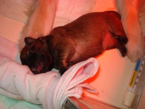 Foto's 6 januari 2008 022