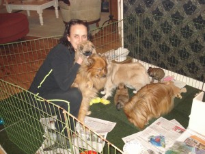 Puppies 5 half week oud 004