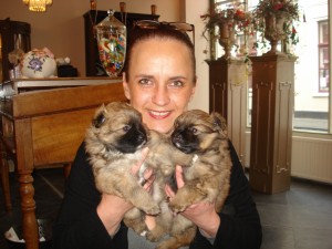 Puppies 5 half week oud 075