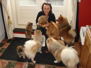 Puppies 7 weken oud 055