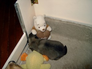 DSC00003